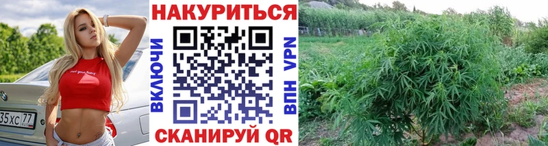 Купить наркотик Теберда Гашиш Марихуана МЕФ